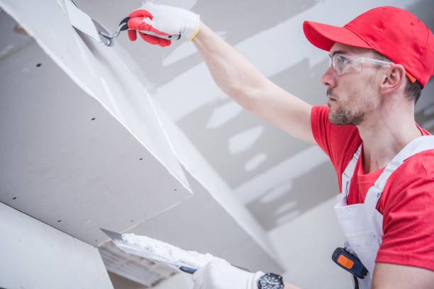 Best Ceiling Drywall Installation  in Lockport, NY